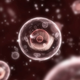 Image for article titled Exercise Keeps Your Cells From Turning Into Hoarders